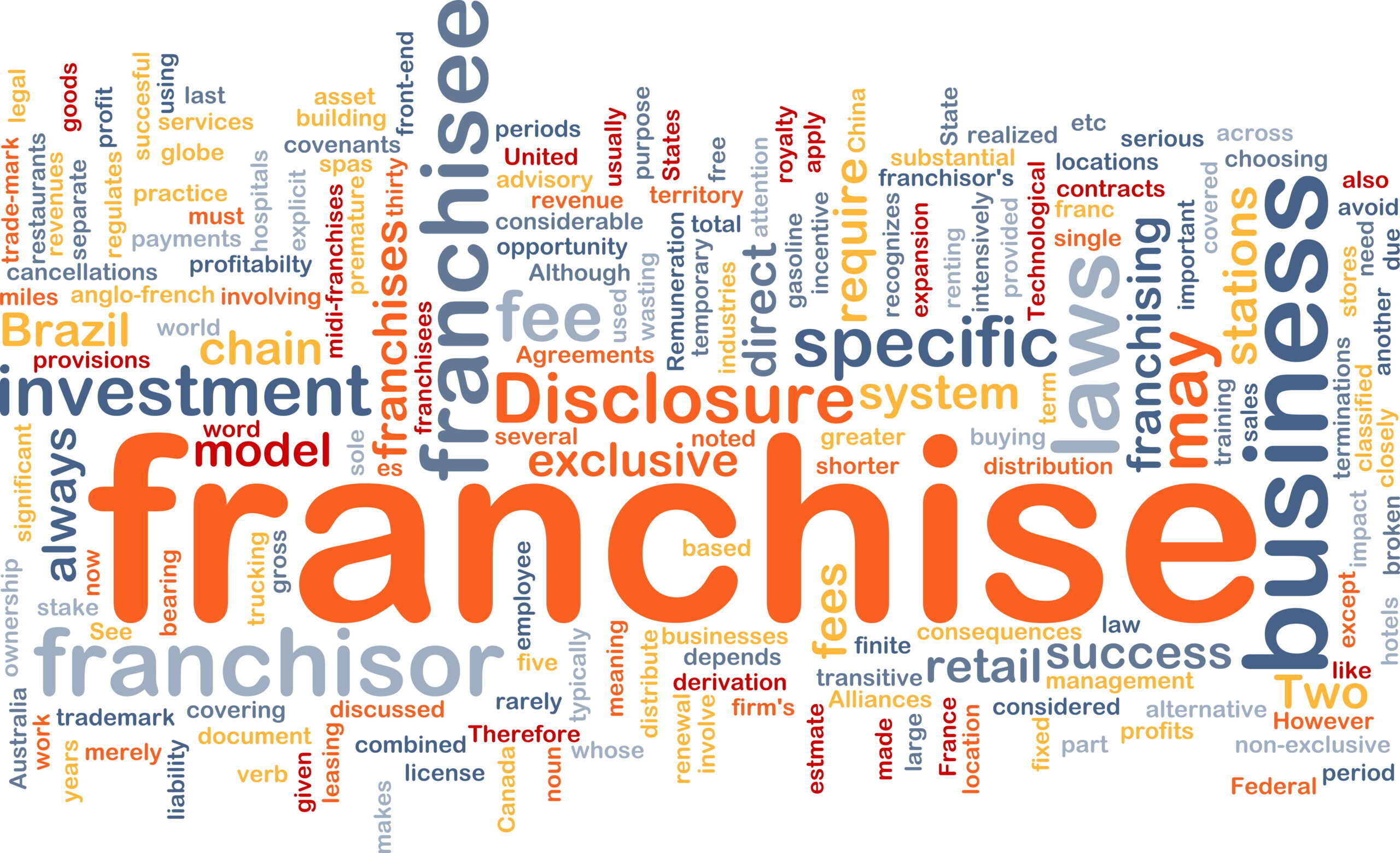 Questions to ask a potential franchisor word cloud